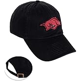 Desert Cactus University of Arkansas Baseball Hat Razorbacks U of A Hogs Brimmed Embroidered Hats Cap Adjustable Cloth Strap