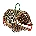 Super Bird Creations SB881 Seagrass Tent, Small/Medium Bird Size, 8” x 7” x 8”
