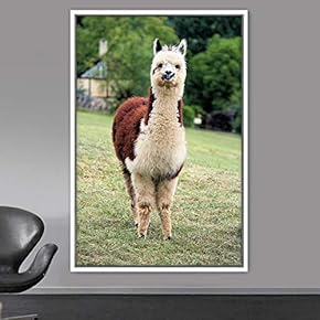 signwin Framed Canvas Wall Art Llama Animals Camels...