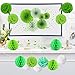 Recosis Hanging Paper Fan Set, Tissue Paper Pom Poms Flower Fan and Honeycomb Balls for Birthday Baby Shower Wedding Festival Decorations - Green