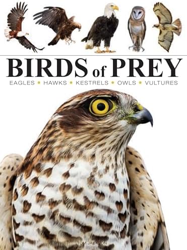 Birds of Prey: Olsen, Penny, Newton, Ian: 9780816021826: Amazon