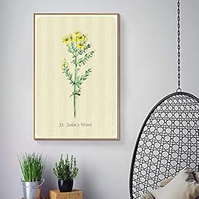Floating Framed Canvas Wall Art for Living Room, Bedroom Vintage Green Plant Canvas Prints for Home Decoration Ready to Hang - 16x24 inches
