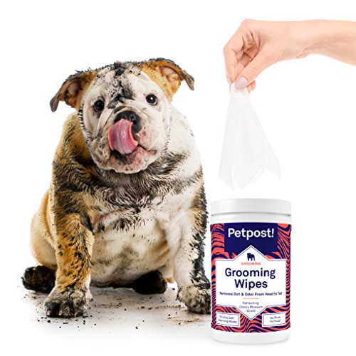 petpost wrinkle wipes