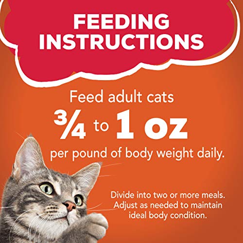 Friskies Prime Filets Chicken & Tuna Wet Cat Food - Image 12