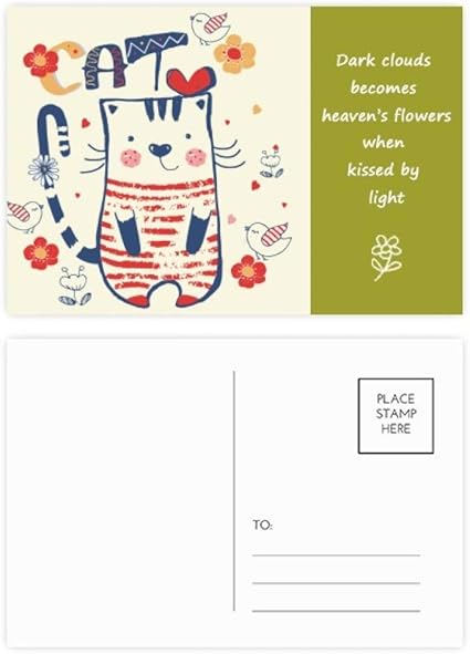 Set Di Cartoline Di Ringraziamento A Forma Di Gatto Uccellino Fiori E Poesia Pezzi Amazon It Cancelleria E Prodotti Per Ufficio