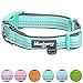 Blueberry Pet Soft & Safe 3M Reflective Neoprene Padded Dog Collar - Mint Blue, Small, 12