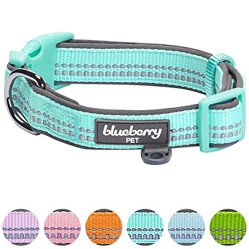 Blueberry Pet Soft & Safe 3M Reflective Neoprene Padded Adjustable Dog Collar Mint Blue Pastel