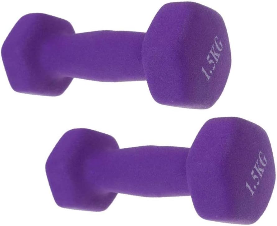 WCJ Women's Set Vinyl Gym Dumbbell In, Purple Fitness Frosted Exercise Dumbbells,(1.5 kg * 2)