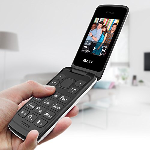 BLU Diva Flex 2.4 T350 Unlocked GSM DualSIM Flip Phone White Buy