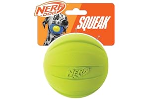 Nerf Dog Rubber Ball Dog Toy with Squeaker, Lightweight, Durable and Water Resistant, 4 Inch Diameter for Medium/Large Breeds, Single Unit, Green
