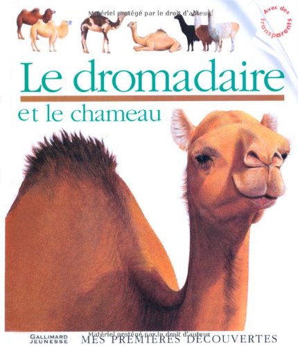 Le  dromadaire et le chameau