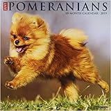 Just Pomeranians 2019 Wall Calendar (Dog Breed Calendar)