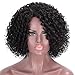 AISI HAIR Natural Afro Kinky Curly Wig Black Curly Synthetic Hair Wig Short Afro Curly Wig Heat Resistant Fiber Hair Side Part Wig for Women