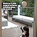 PetFusion Interactive Cat Spinner - Rotating Cat Toy with Multi-Surface Adhesive - Cat Operated, Encourages Fitness & Mental Stimulation