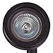 Sterno Home GL22724BK, Black Paradise Low Voltage Cast Aluminum 20-Watt Spot Light with Glass Panel