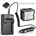 Kastar Battery and Charger for Panasonic PV-GS300 PV-GS31 PV-GS320 PV-GS33 PV-GS35 PV-GS36 PV-GS39 PV-GS40 as CGA-DU14 VW-VBD140