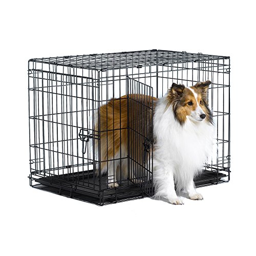 image for New World Crates New World 30