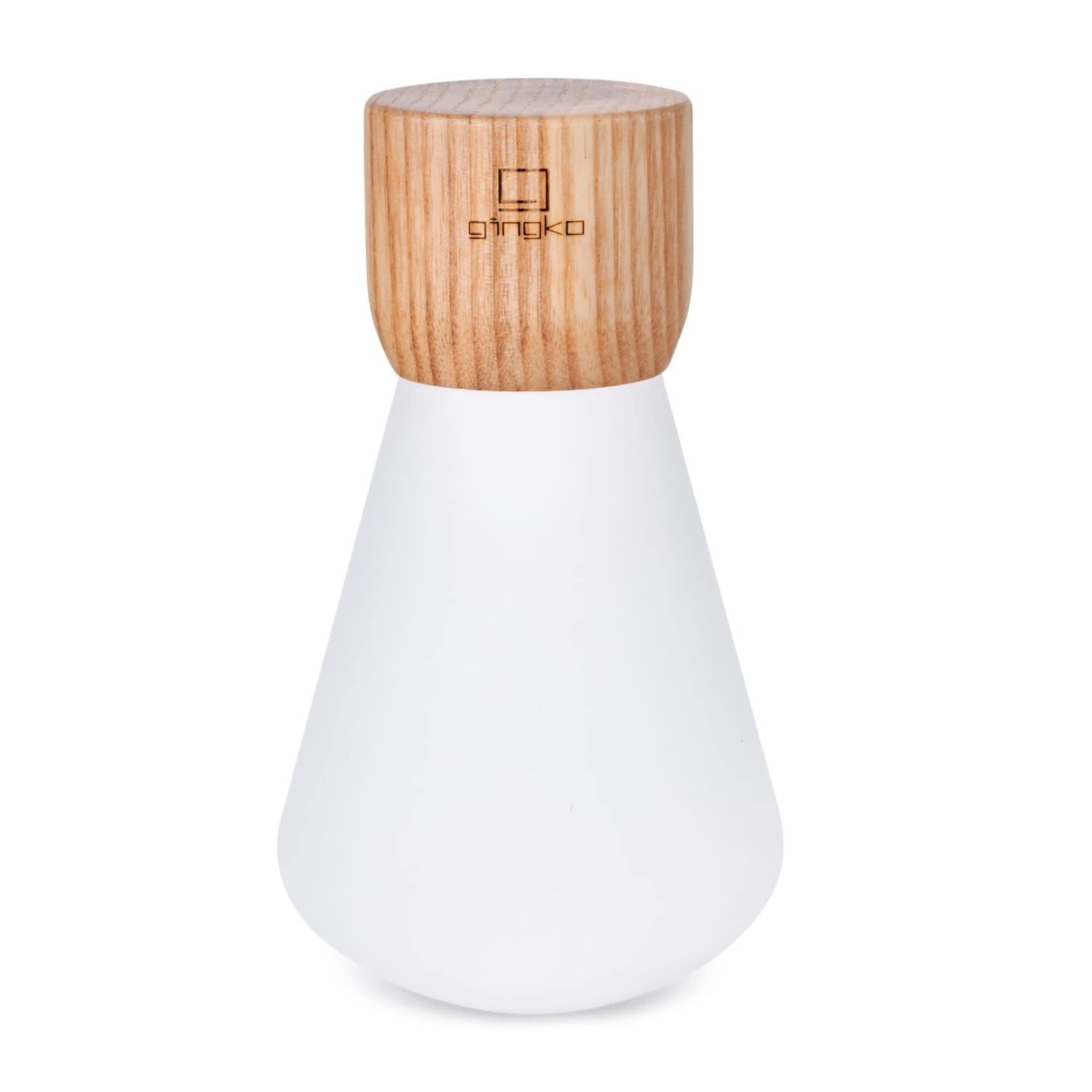 Gingko Pentagon Desk Dimmable 7 Colour Changing RGB LED Bulb with Non-Fragile Acrylic Glass and FSC Certified Wood, Mood Light, USB-C Charging, Touch Control, Premium Gift Box (Large, White Ash)