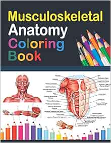 Amazon.com: Musculoskeletal Anatomy Coloring Book: Incredibly Detailed