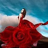 DIY 5D Diamond Painting by Number Kits, Crystal Rhinestone Diamond Embroidery Paintings Pictures Arts Craft for Home Wall Decor,Woman Wearing Red Rose Flower Dress