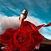 DIY 5D Diamond Painting by Number Kits, Crystal Rhinestone Diamond Embroidery Paintings Pictures Arts Craft for Home Wall Decor,Woman Wearing Red Rose Flower Dress