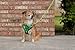 EcoBark Dog Harness - Eco-Friendly Max Comfort Harnesses - Luxurious Soft Mesh Halter - Over The Head Harness Vest- No Pull and No Choke for Small, Toy Breed, and Teacup Dogs (XS, Camo)