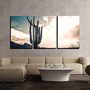 3 Piece Canvas Wall Art - Iconic Saguaro Cactus and Camelback MTN Phoenix, AZ - Modern Home Art Stretched and Framed Ready to Hang - 16"x24"x3 Panels