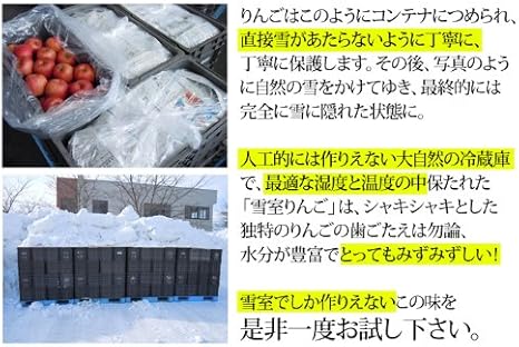 Amazon ほんまもん屋 青森県産 雪室サンふじ 雪室りんご 10ｋｇ 36 40玉 ほんまもん屋 食品 飲料 お酒 通販