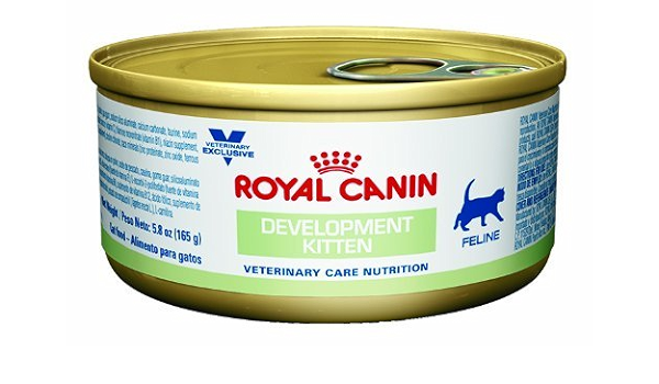 royal canin development kitten