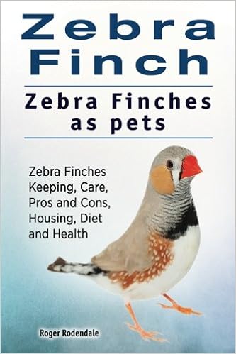 keeping zebra finches