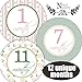 Shabby Chic Baby Monthly Stickers - Shower Gift or Scrapbook Photo Keepsake