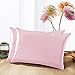 Yanibest Silk Pillowcase for Hair and Skin, Standard Queen King Pillow with Hidden Zipper, Soft Breathable Smooth Cooling Pillow for Sleeping