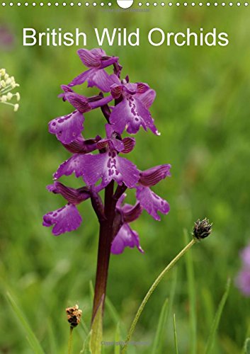 British Wild Orchids 2017: A Selection of Beautiful Wild Orchids (Calvendo Nature)