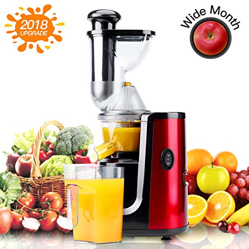 Juicer Hornbill Slow Masticating Juicer Cold Press Juicer Machine,Wide Mouth Whole Masticating Juicer with Juice Jug and Brush, Easy to Clean, Higher Nutrient Fruit and Vegetable juice