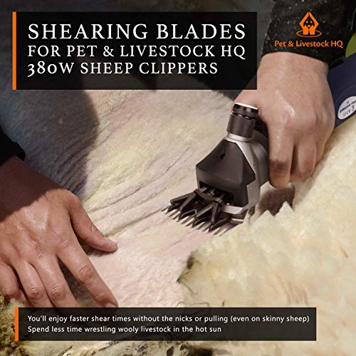 oster sheep clippers