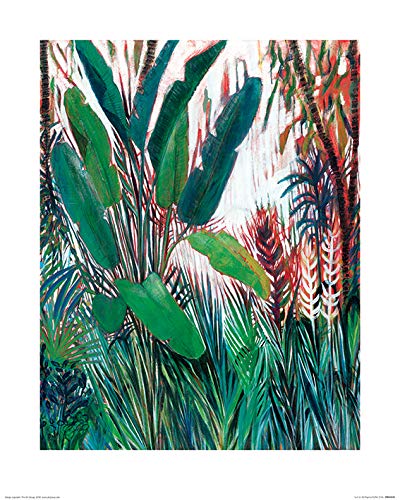 Shyama Ruffell (Just So) 40 x 50cm Art Print