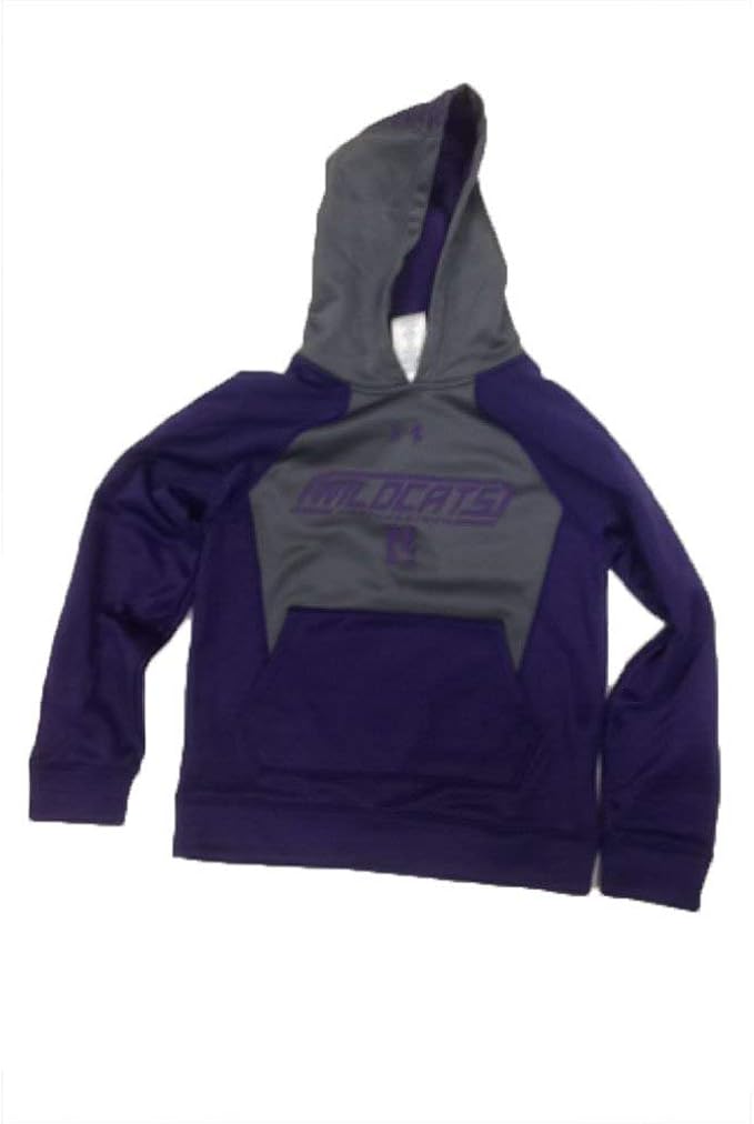 under armour purple sweatshirt