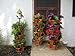Natures Distributing 3 Tier Stacking Planter-Flower, Herb, Stackable Garden, Vegetable-Self-Watering-Indoor/Outdoor (Terracotta)