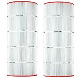 Replacement Filter Cartridge for Predator 100, Pentair Clean & Clear 100-2 Pack