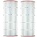 Replacement Filter Cartridge for Predator 100, Pentair Clean & Clear 100-2 Pack