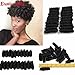 #1B Eunice Hair Short Curly Saniya Curl Crochet Hair Crochet Braids Natural and Soft Bouncy Twist Hair 20 Strands/Pack 3 Packs/Lot For Women (10 inch saniya, black)