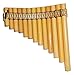 Easy to Play Beginner Peru Treasure Small Peruvian Tunable Antara Pan Flute 13 Pipes Case Included (Beige)
