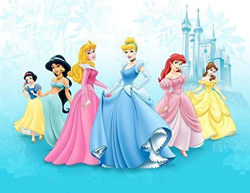 Buy Disney Princess Sleeping Beauty Cinderella Ariel Jasmine Belle