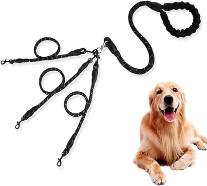 triple dog leash