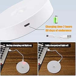 Electight 3 Pack Motion Sensor Light, 8 LEDs