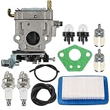 Allong Carburetor Air Fuel Line Filter Spark Plug Carb for Echo PB-770 PB-770H PB-770T Backpack Blower Replaces Echo A021001870 A021003940 A021001870 Walbro WYK-406-1 WYK-406 WYK-345-1