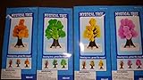 Toysmith 4 inch Mystical Tree Crystal Growing Kit Set of 4 Colors