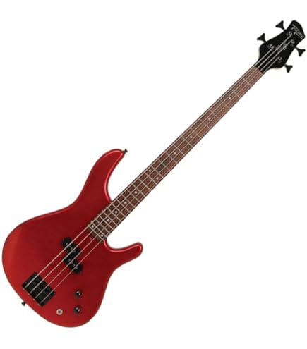 Warwick Rockbass Vampyre 4 cordas, acabamento polido preto