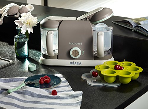 BEABA Babycook Pro 2X, Latte Mint (Certified Refurbished)