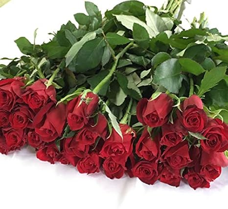 Amazon バラ 30本 山形県 寒河江市産 大沼バラ園 切り花 赤系 元気いただきますプロジェクト 切り花 オンライン通販